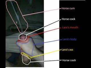 Lara with horse 2 interpretation